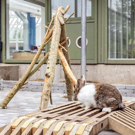 6 Person Holiday Home On A Holiday Park In Ґіллайе Екстер'єр фото